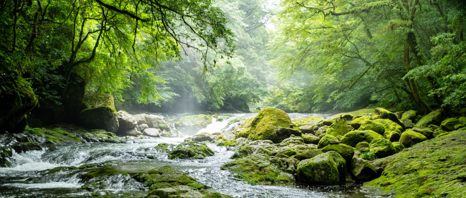 メインビジュアル1